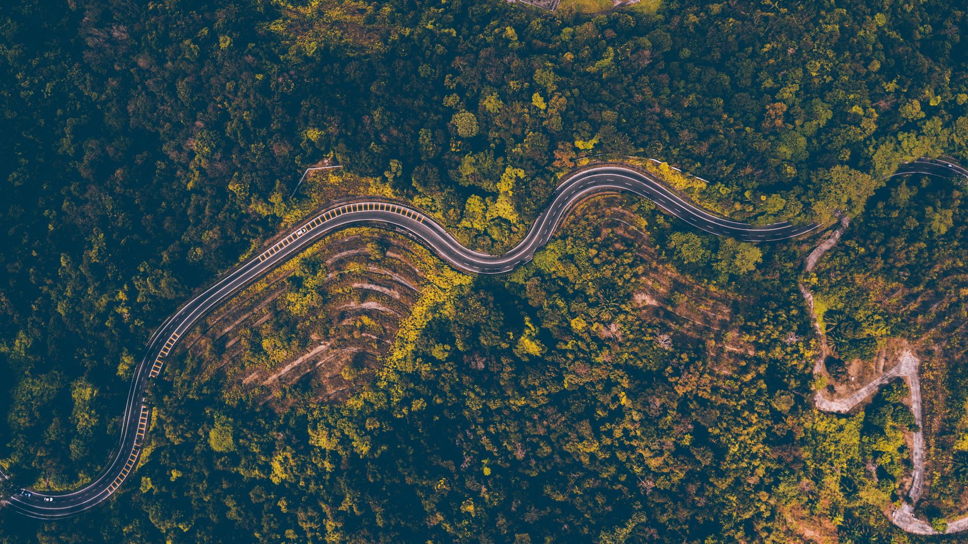 The exit path — a road forward