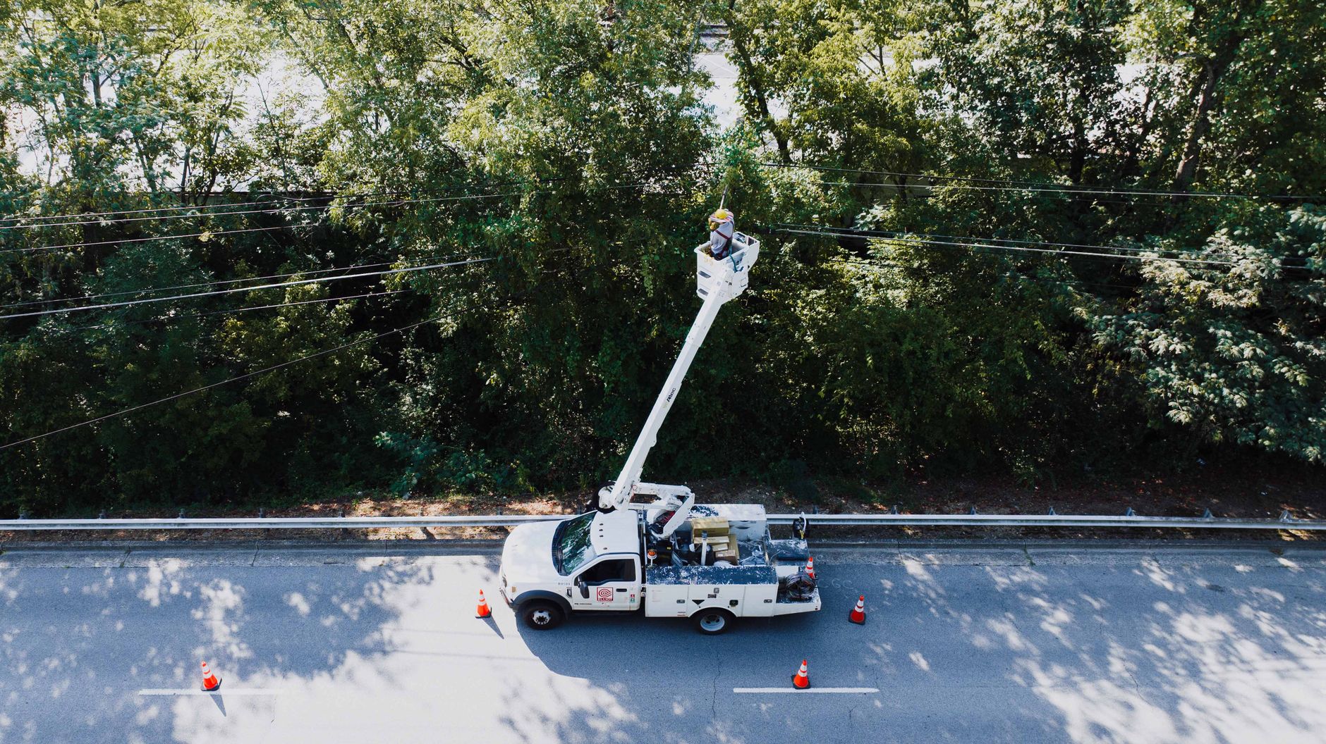 Tree Service & Arboriculture operator context